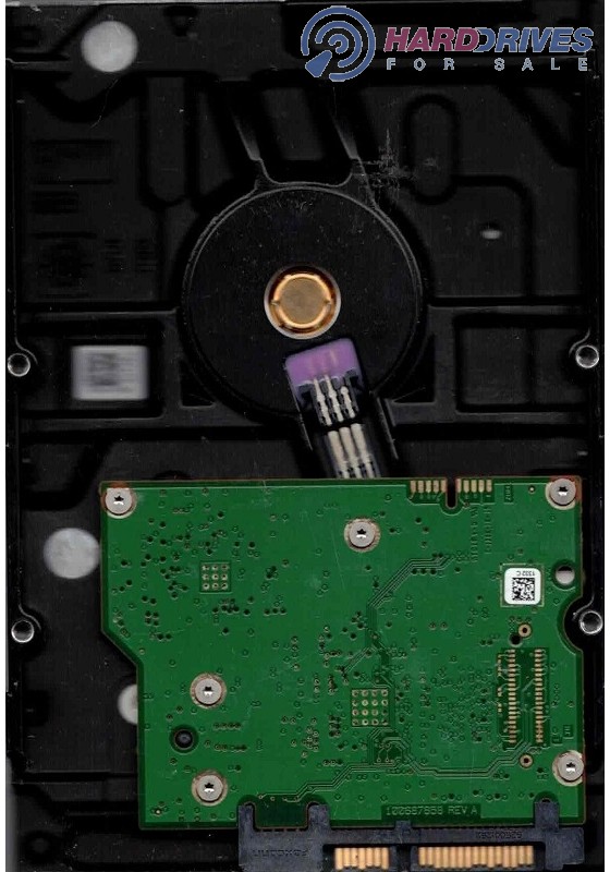 ST1000VM002
