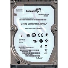 ST9250315AS