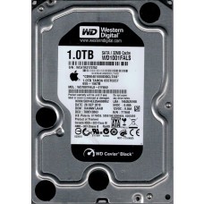 WD1001FALS-41Y6A0