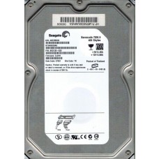 ST3400833AS