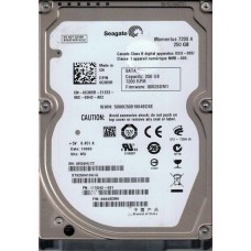 ST9250410ASG