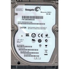 ST9250315AS