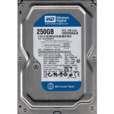 WD2500AAJS-22L7A0