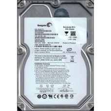 ST31000340NS