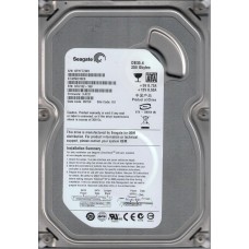 ST3250310CS