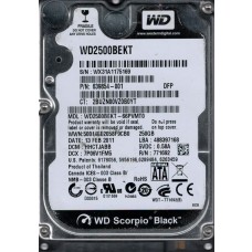 WD2500BEKT-66PVMT0