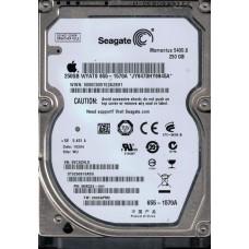 ST9250315ASG