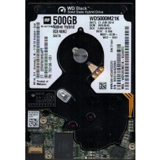 WD5000M21K-60JU6T0