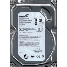 ST2000DL001