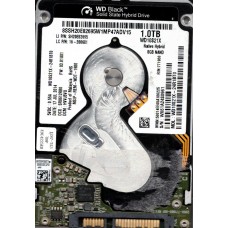 WD10S21X-24R1BT0