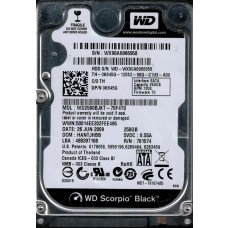 WD2500BJKT-75F4T0
