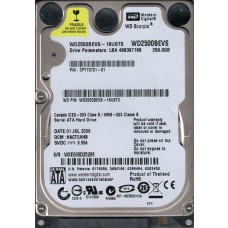 WD2500BEVS-16UST0