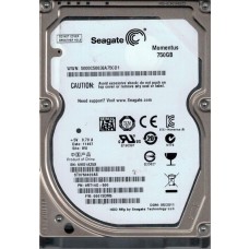 ST9750420AS