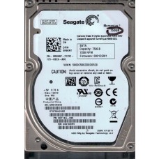ST9750420AS