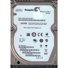 ST9250410AS