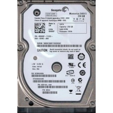 ST9250320AS
