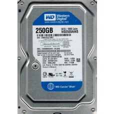 WD2500AAKS-61L9A0