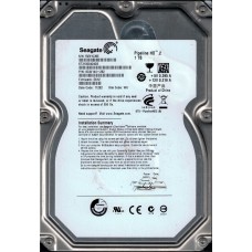 ST31000424CS