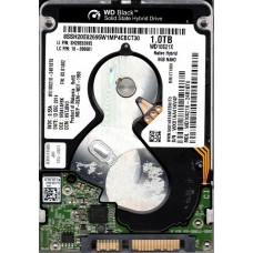 WD10S21X-24R1BT0