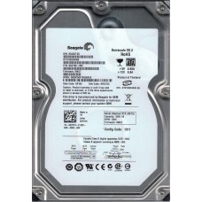 ST31000340NS