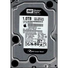 WD1001FALS-40Y6A0