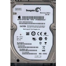 ST9250315ASG