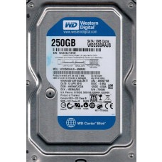 WD2500AAJS-55M0A0 