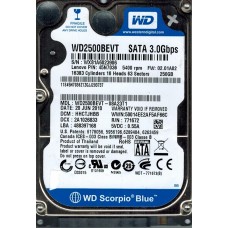 WD2500BEVT-08A23T1