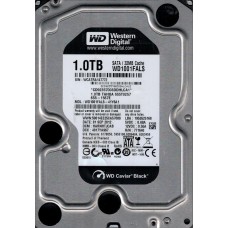 WD1001FALS-41Y6A1