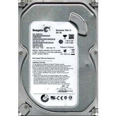 ST3250318AS 9SL131-515 CC44 TK