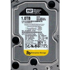 WD1003FBYX-01Y7B1