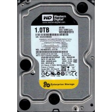 WD1003FBYX-01Y7B1