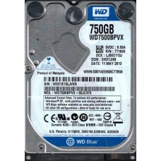 WD7500BPVX-55JC3T0
