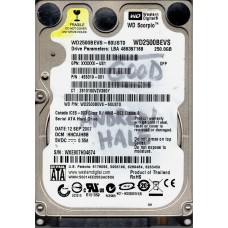 WD2500BEVS-60UST0