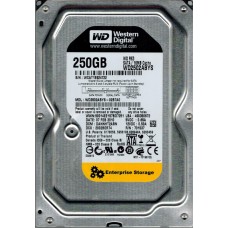 WD2502ABYS-02B7A0