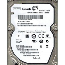 ST9250315AS