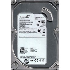 ST3250318AS