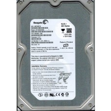 ST3400832NS