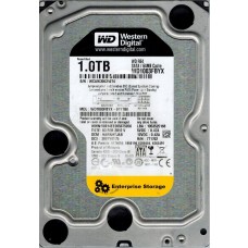 WD1003FBYX-01Y7B0