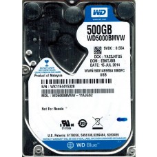 WD5000BMVW-11AJGS2