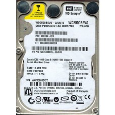 WD2500BEVS-22UST0