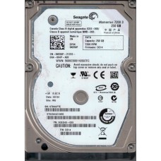 ST9250421ASG