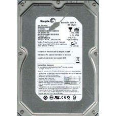 ST3300620A