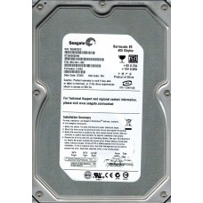 ST3400620NS