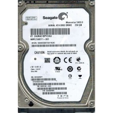 ST9250315AS