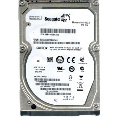 ST9250315AS