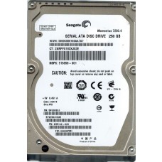 ST9250410AS