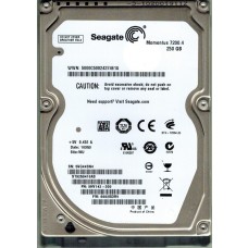 ST9250410AS