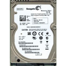 ST9250410AS