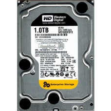 WD1003FBYX-01Y7B0